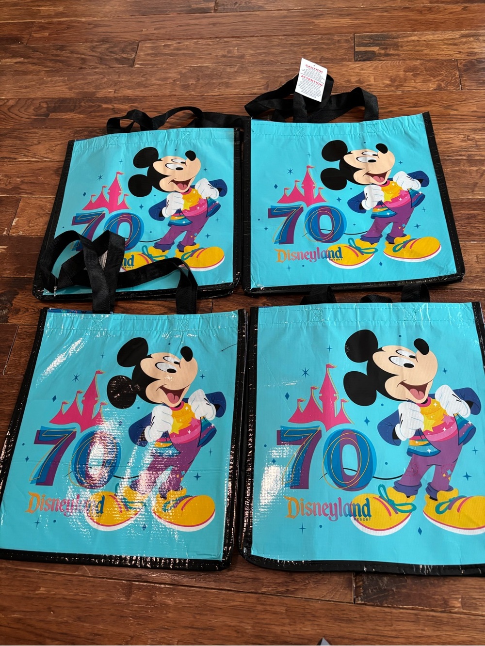Disneyland Disney 70th Anniversary Tote Bag Reuseable 12 x 13